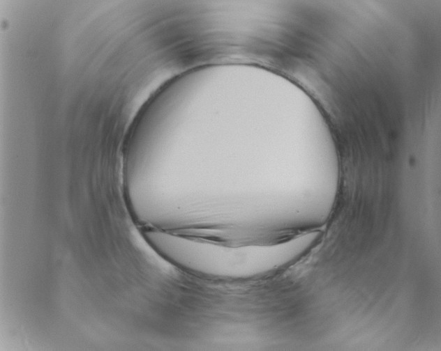 X0000088841476200707051435