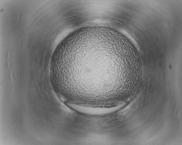 X0000088841477200707051435