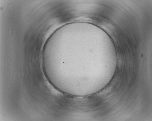 X0000088841478200707051435