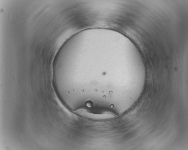 X0000088841479200707051435