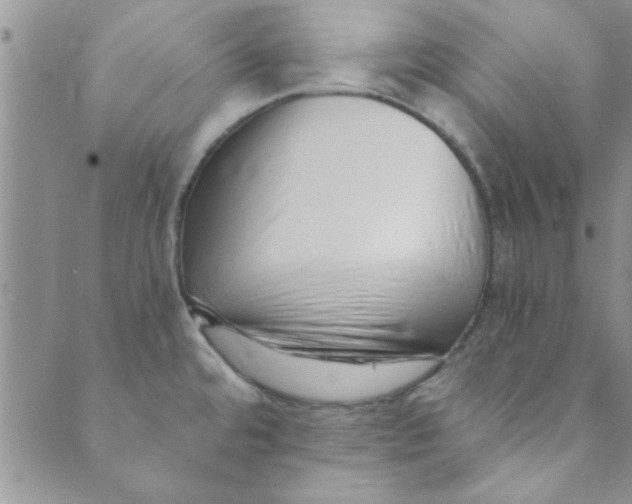 X0000088841480200707051435