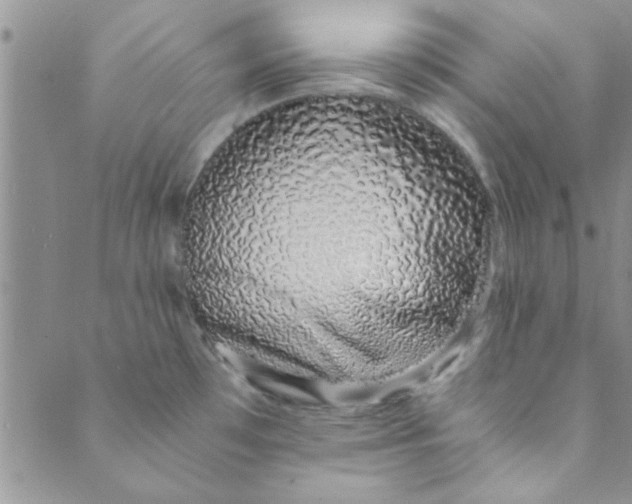 X0000088841481200707051435