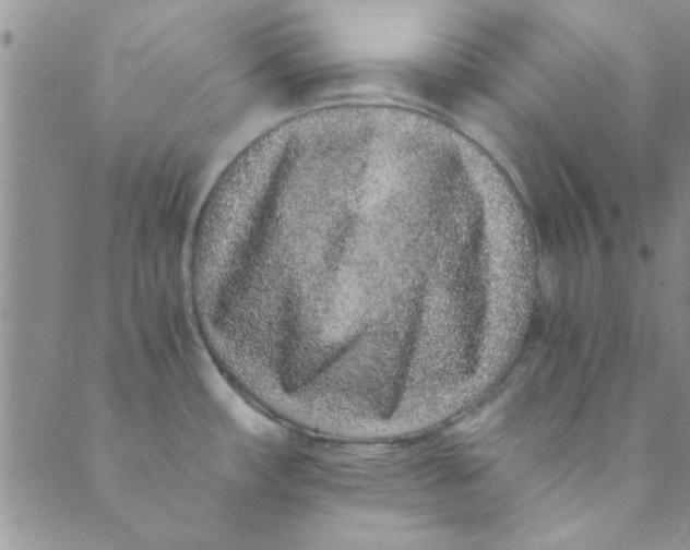 X0000088841482200707051435