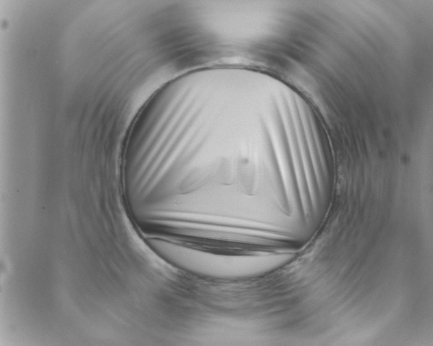 X0000088841483200707051435