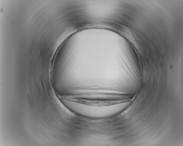 X0000088841484200707051435