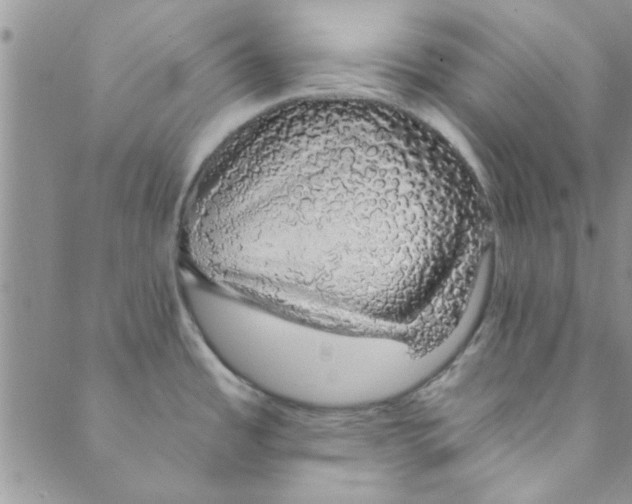 X0000088841485200707051435