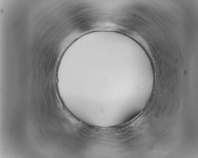 X0000088841488200707051435