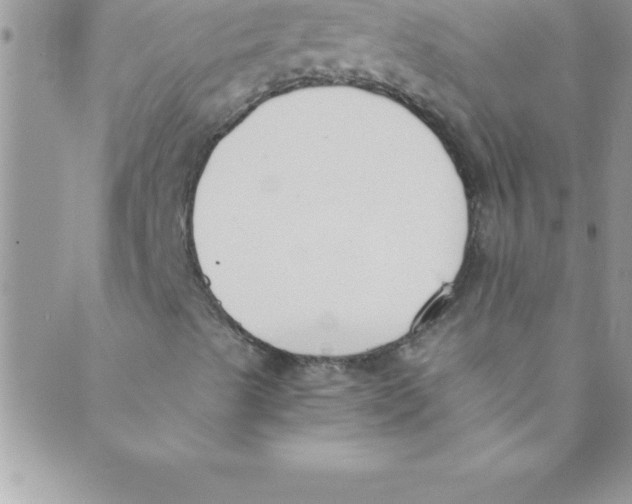 X0000088841489200707051434