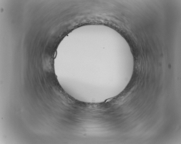 X0000088841490200707051434