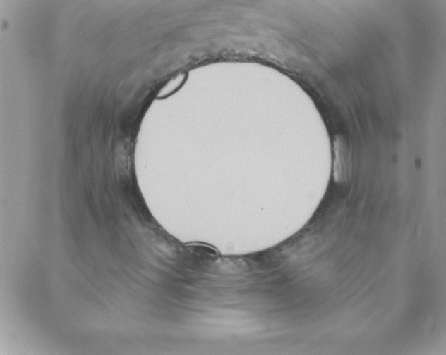 X0000088841491200707051434