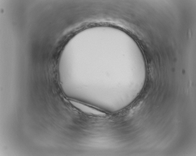 X0000088841494200707051434