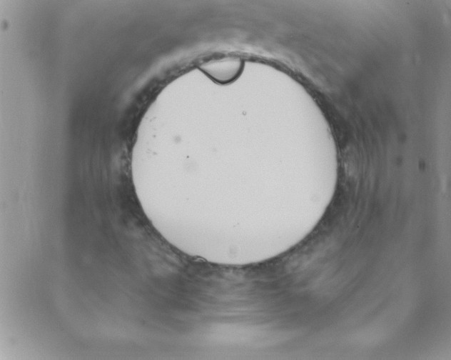 X0000088841495200707051434