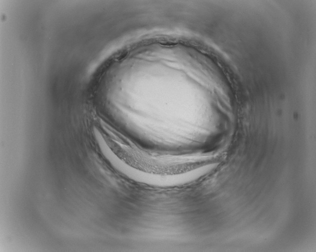 X0000088841496200707051434