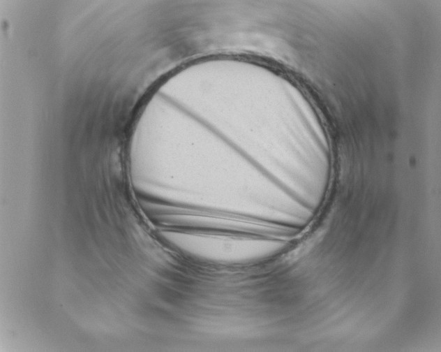 X0000088841497200707051434