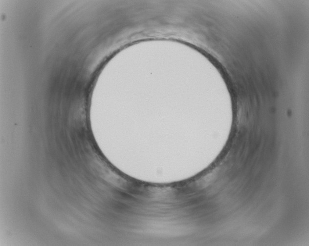 X0000088841498200707051434