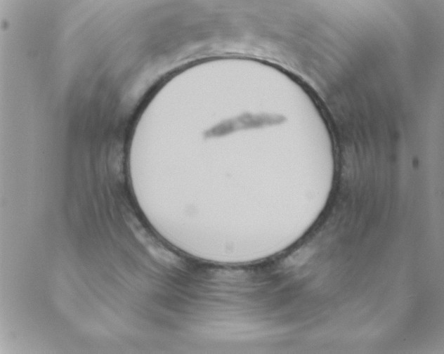 X0000088841499200707051434