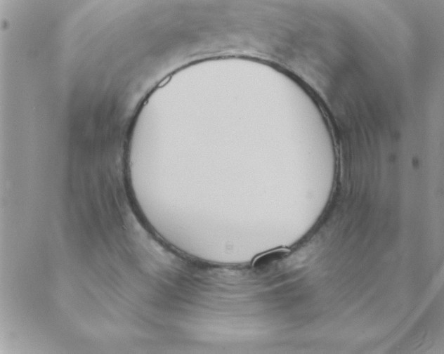 X0000088841500200707051434