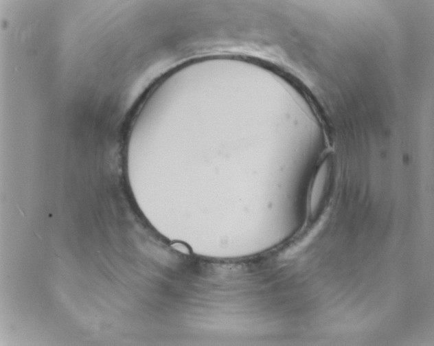 X0000088841501200707051434