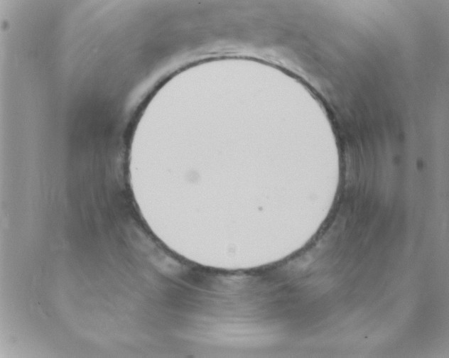 X0000088841502200707051434