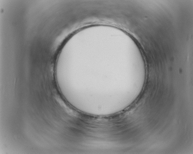 X0000088841503200707051434