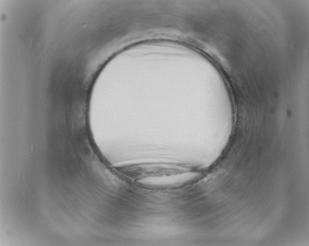 X0000088841504200707051434