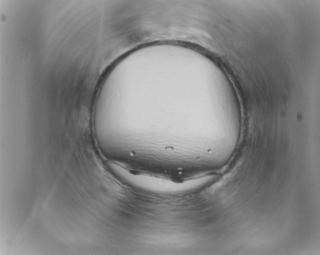 X0000088841505200707051434