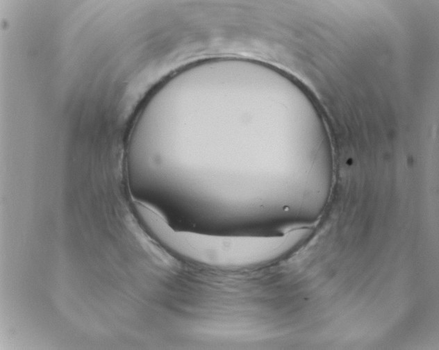 X0000088841507200707051434