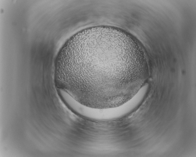 X0000088841508200707051434