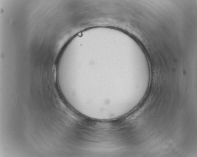 X0000088841509200707051434