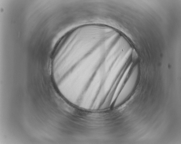 X0000088841510200707051434