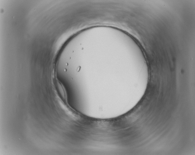 X0000088841511200707051434