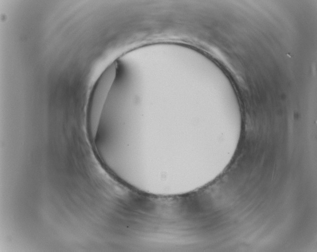 X0000088841512200707051434