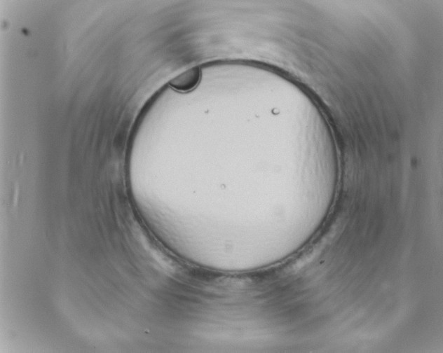 X0000088841513200707051435