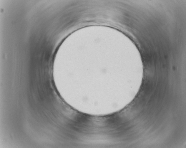 X0000088841514200707051435