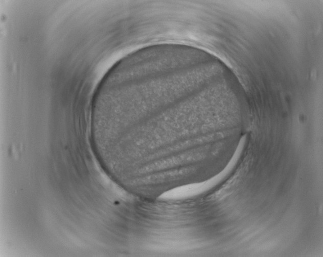 X0000088841515200707051435