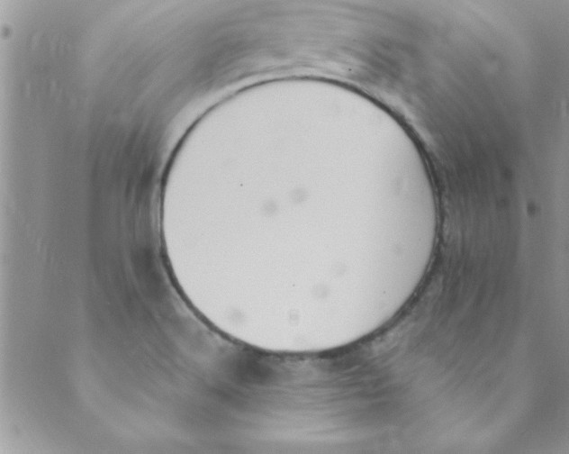 X0000088841516200707051435