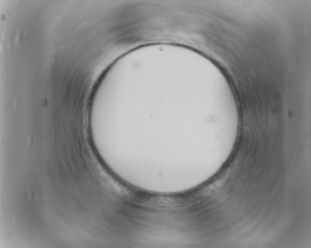 X0000088841517200707051435