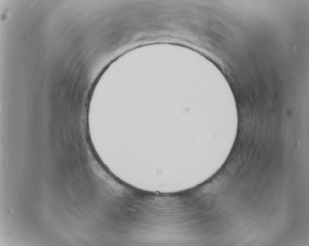 X0000088841518200707051435