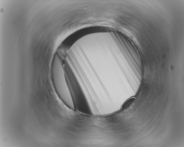 X0000088841520200707051435