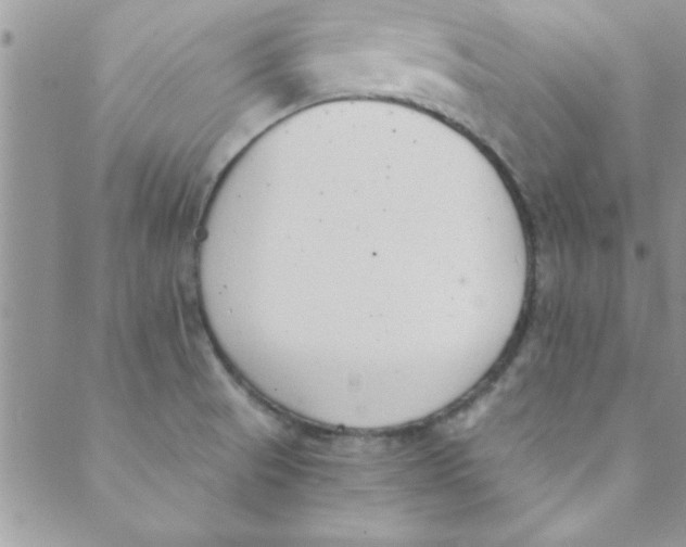 X0000088841521200707051435