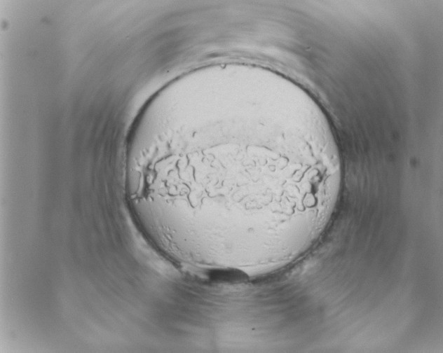 X0000088841522200707051435