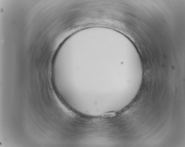 X0000088841523200707051435