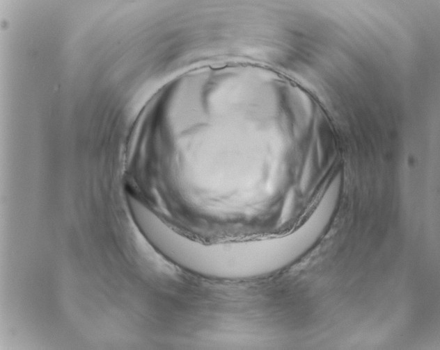 X0000088841524200707051435