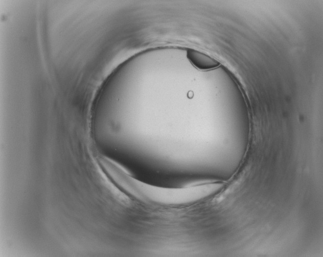 X0000088841525200707051435