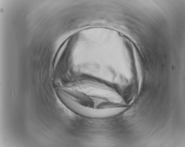 X0000088841527200707051435