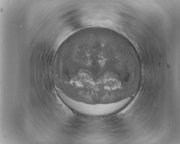 X0000088841529200707051435