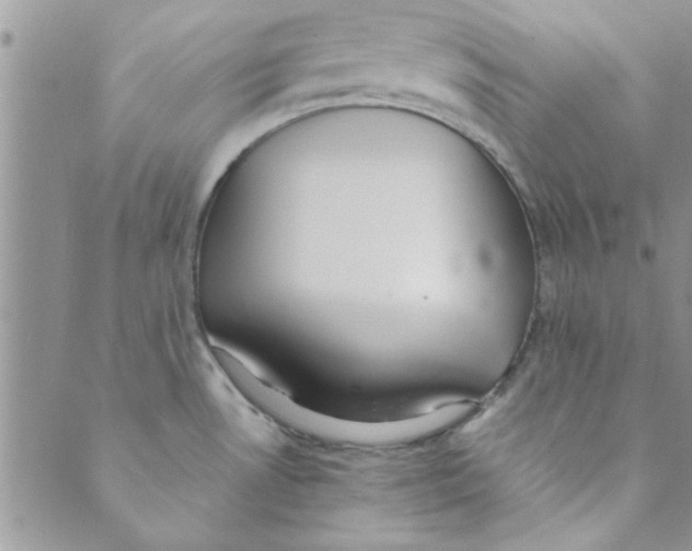 X0000088841530200707051435