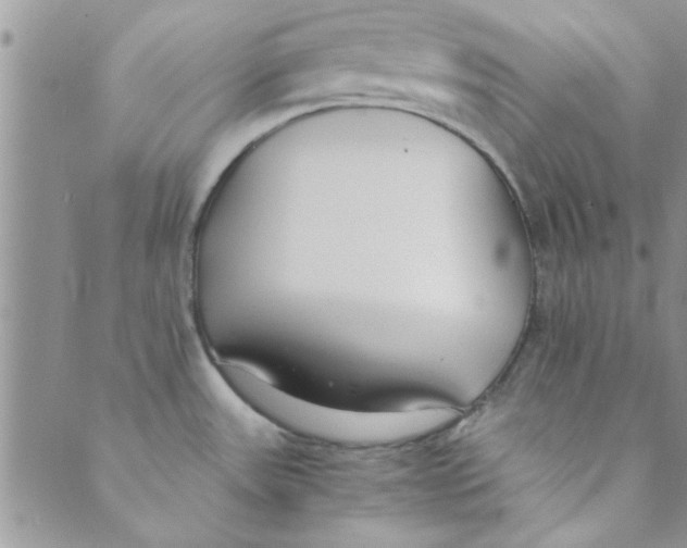 X0000088841531200707051435