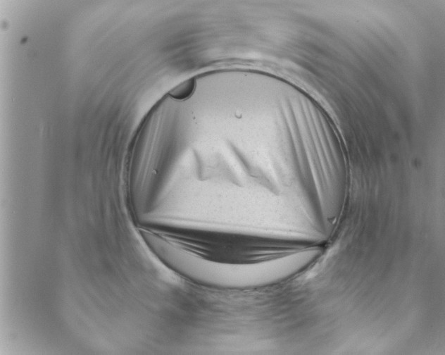 X0000088841533200707051435