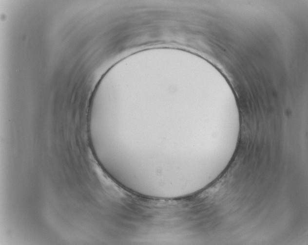 X0000088841534200707051435